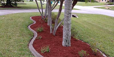 Professional Sod & Mulch Installation in Palm Bay, Florida