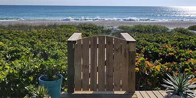 Professional Planting & Plant Removal in Palm Bay, Florida