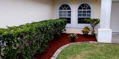 Professional Trimming Services in Palm Bay, Florida