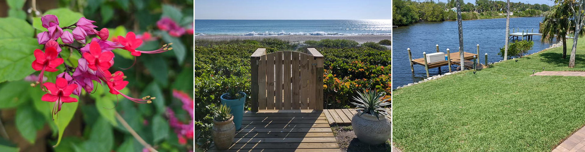 Professional Residential Lawn Maintenance in Palm Bay, Florida