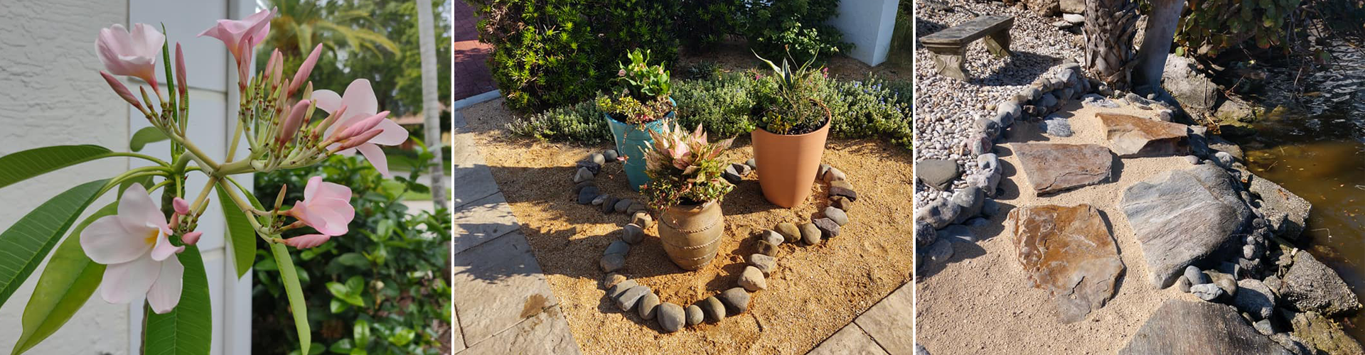 Professional Lawn Maintenance in Palm Bay, Florida