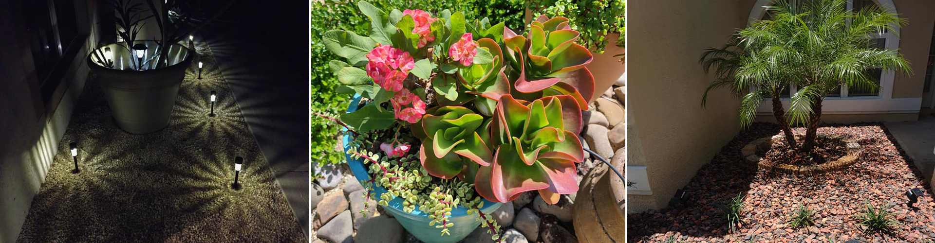 Professional Lawn Maintenance in Palm Bay, Florida
