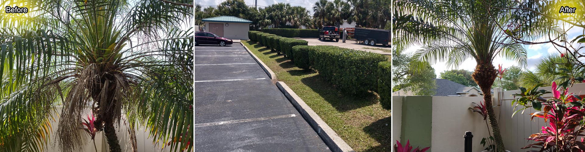 Professional Trimming Services in Palm Bay, Florida